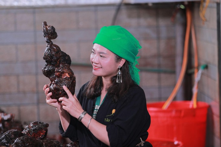 Kha Hạnh – Cô gái Tây Bắc đưa thảo dược quê hương vào cuộc sống hiện đại- Ảnh 1.