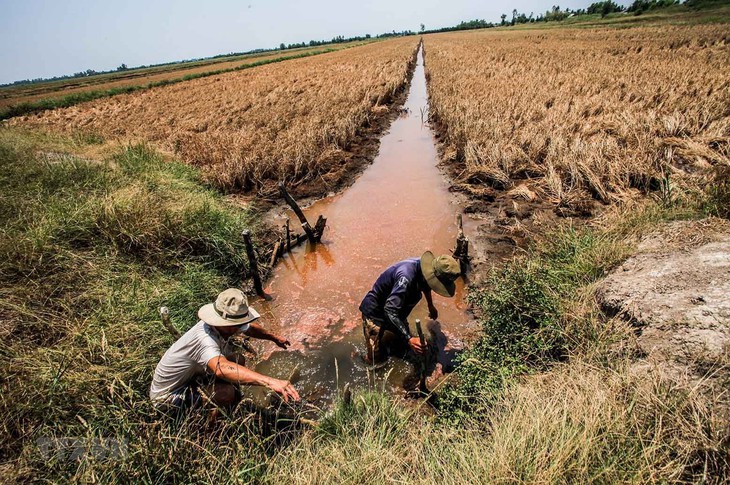 Bộ Nông nghiệp và Môi trường báo cáo Thủ tướng về hạn mặn ở Nam Bộ- Ảnh 2. Bộ Nông nghiệp và Môi trường báo cáo Thủ tướng về hạn mặn ở Nam Bộ- Ảnh 2.