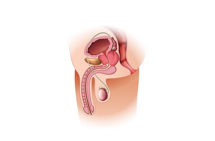 Liệt dương: Nguyên nhân, triệu chứng, cách điều trị và phòng ngừa - Ảnh 2.