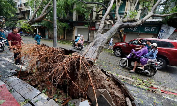 Hơn 150 thảm họa khí hậu 'chưa từng có' xảy ra trên thế giới vào năm 2024- Ảnh 3. Hơn 150 thảm họa khí hậu 'chưa từng có' xảy ra trên thế giới vào năm 2024- Ảnh 3.