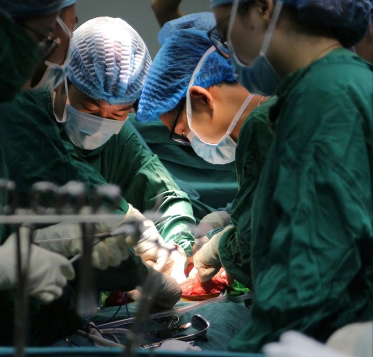'Chung tay phát triển ngành y tế Nghệ An xứng tầm trung tâm khu vực Bắc Trung Bộ'- Ảnh 2. 'Chung tay phát triển ngành y tế Nghệ An xứng tầm trung tâm khu vực Bắc Trung Bộ'- Ảnh 2.