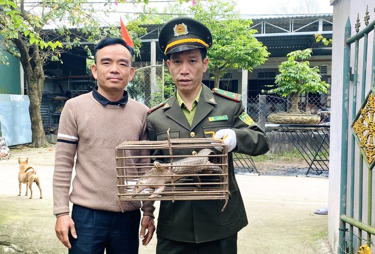 Phát hiện động vật quý hiếm 'đi lạc', người đàn ông gọi đường dây nóng kiểm lâm giao nộp- Ảnh 1. Phát hiện động vật quý hiếm 'đi lạc', người đàn ông gọi đường dây nóng kiểm lâm giao nộp- Ảnh 1.