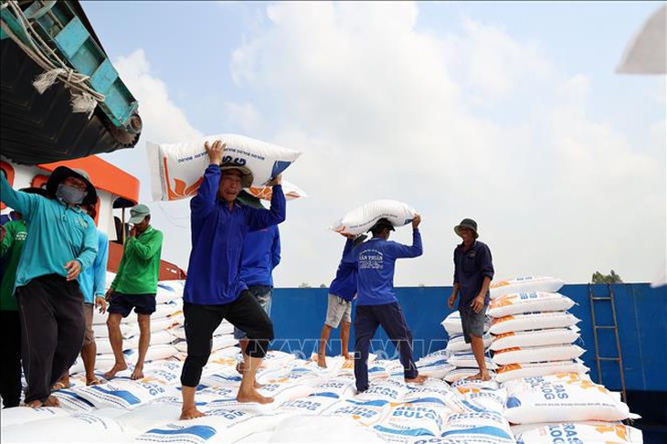 Thị trường nông sản: Giá gạo xuất khẩu tiếp tục tăng- Ảnh 1. Thị trường nông sản: Giá gạo xuất khẩu tiếp tục tăng- Ảnh 1.