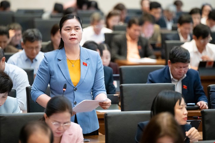 ĐBQH: Cần quy trách nhiệm thu hồi, xử lý hóa chất bị cấm sau khi lưu thông trên thị trường- Ảnh 2.