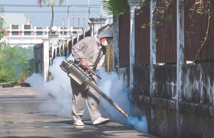 Sốt xuất huyết: Đừng để 'chuyện muỗi' làm lớn!- Ảnh 1. Sốt xuất huyết: Đừng để 'chuyện muỗi' làm lớn!- Ảnh 1.