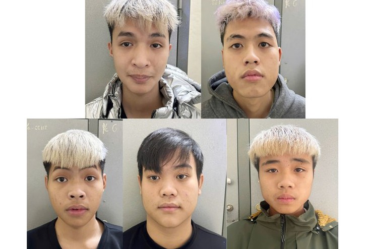 Nhóm 'báo con' bày mưu đi cướp- Ảnh 1.