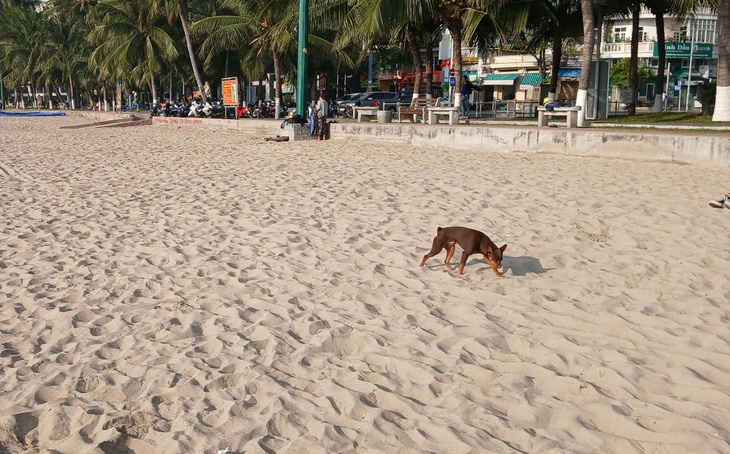 Những hành vi bị cấm ở công viên bờ biển Nha Trang, người dân và du khách cần biết- Ảnh 1.