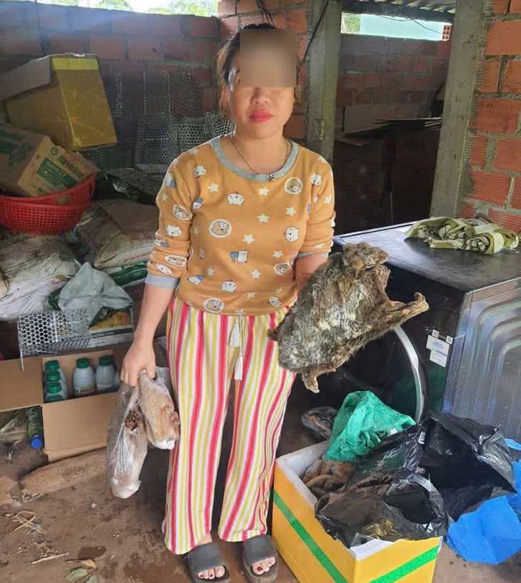 Khởi tố người phụ nữ mua động vật quý hiếm giấu vào tủ đông lạnh- Ảnh 1. Khởi tố người phụ nữ mua động vật quý hiếm giấu vào tủ đông lạnh- Ảnh 1.