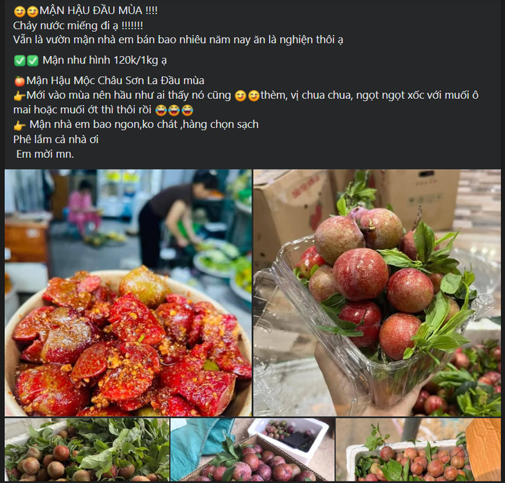 Mận đầu mùa giá đắt ngang trái cây nhập khẩu nhưng các chị em vẫn sẵn sàng 'mở ví'- Ảnh 2.
