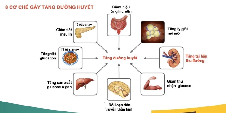 Các thuốc làm tăng đường huyết ở người đái tháo đường- Ảnh 3. Các thuốc làm tăng đường huyết ở người đái tháo đường- Ảnh 3.
