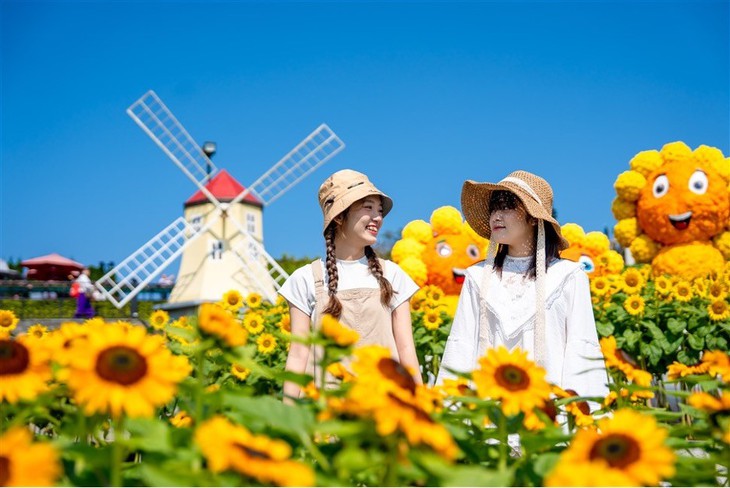 Sun World Ba Na Hills ngợp ngời sắc vàng trong lễ hội Hoa Mặt trời- Ảnh 1.
