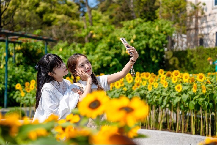 Sun World Ba Na Hills ngợp ngời sắc vàng trong lễ hội Hoa Mặt trời- Ảnh 2.