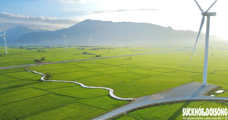 'Tan chảy' trước cánh đồng điện gió ở Ninh Thuận- Ảnh 1. 'Tan chảy' trước cánh đồng điện gió ở Ninh Thuận- Ảnh 1.
