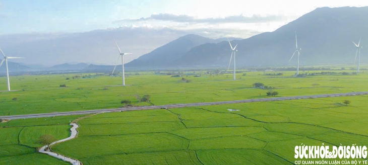 Nơi đây có đến 16 trụ tua bin, được xây dựng giữa những cánh đồng xanh mát, phía xa xa là đồi núi chập chùng của vùng đất Ninh Thuận, tất cả như tạo nên một bức tranh vô cùng đẹp. Nơi đây có đến 16 trụ tua bin, được xây dựng giữa những cánh đồng xanh mát, phía xa xa là đồi núi chập chùng của vùng đất Ninh Thuận, tất cả như tạo nên một bức tranh vô cùng đẹp.