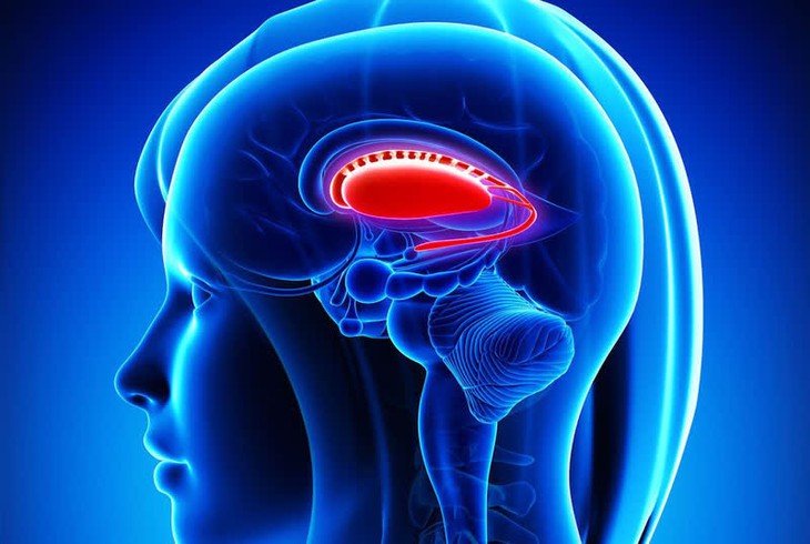 Hạch nền: Nguyên nhân, biểu hiện, cách điều trị và phòng bệnh- Ảnh 1.