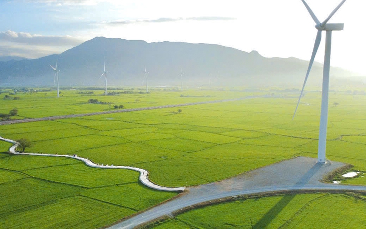 "Tan chảy" trước cánh đồng điện gió ở Ninh Thuận