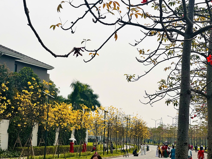 Bản giao hưởng tháng Ba - khi Hà Nội 'cất lời' bằng sắc hoa- Ảnh 22. Bản giao hưởng tháng Ba - khi Hà Nội 'cất lời' bằng sắc hoa- Ảnh 22.