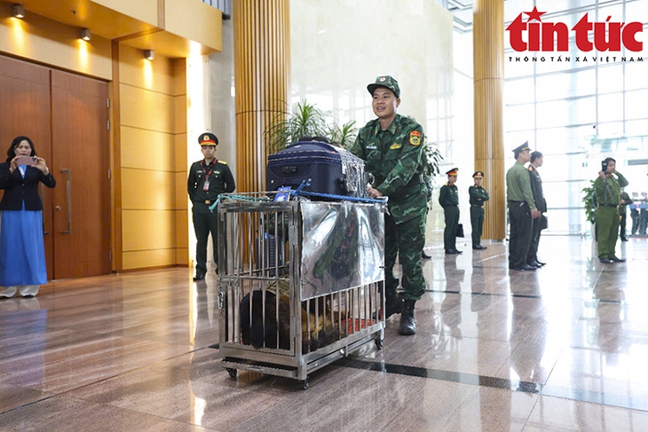 Hình ảnh 80 quân nhân Việt Nam lên đường sang Myanmar khắc phục hậu quả động đất- Ảnh 3.
