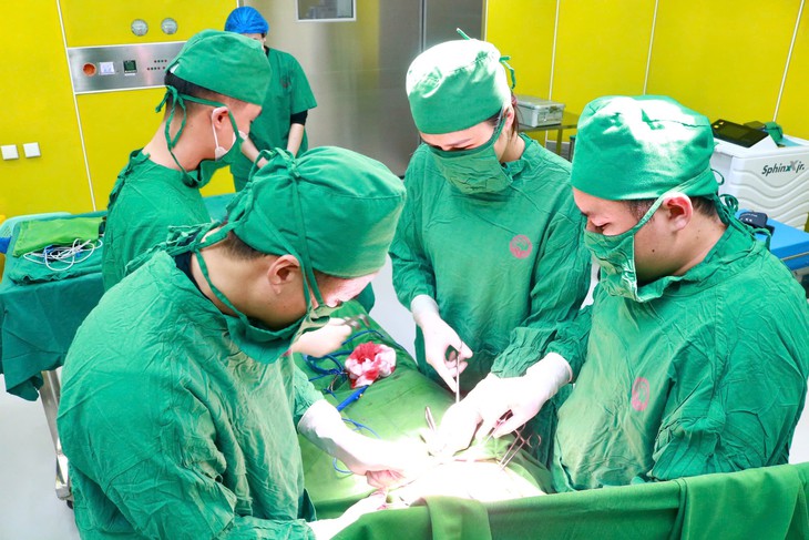 Cứu sống sản phụ thai ngoài tử cung góc sừng- Ảnh 1.