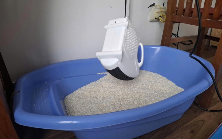 Người miền Bắc "loay hoay" với thời tiết nồm ẩm