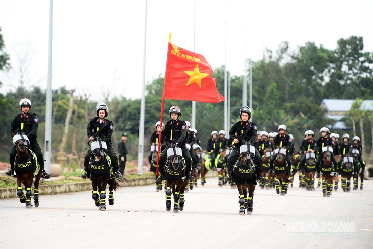 Kỵ binh sẵn sàng cho màn biểu diễn hấp dẫn tại Hồ Gươm- Ảnh 1. Kỵ binh sẵn sàng cho màn biểu diễn hấp dẫn tại Hồ Gươm- Ảnh 1.