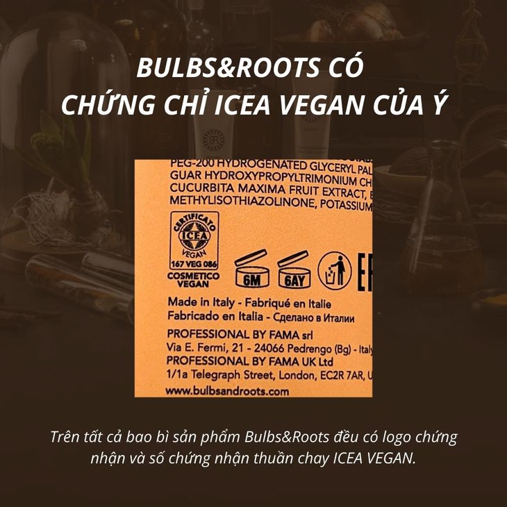 Chăm sóc da đầu an toàn với sản phẩm thuần chay – Hành trình phục hồi mái tóc từ gốc- Ảnh 6.