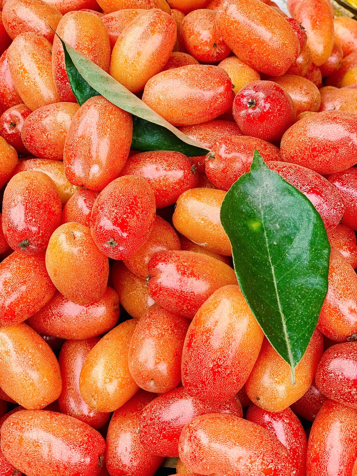 Nhót chín hạ giá, tiểu thương nhập hàng bán đầy thị trường giá vài chục nghìn đồng/kg- Ảnh 1. Nhót chín hạ giá, tiểu thương nhập hàng bán đầy thị trường giá vài chục nghìn đồng/kg- Ảnh 1.
