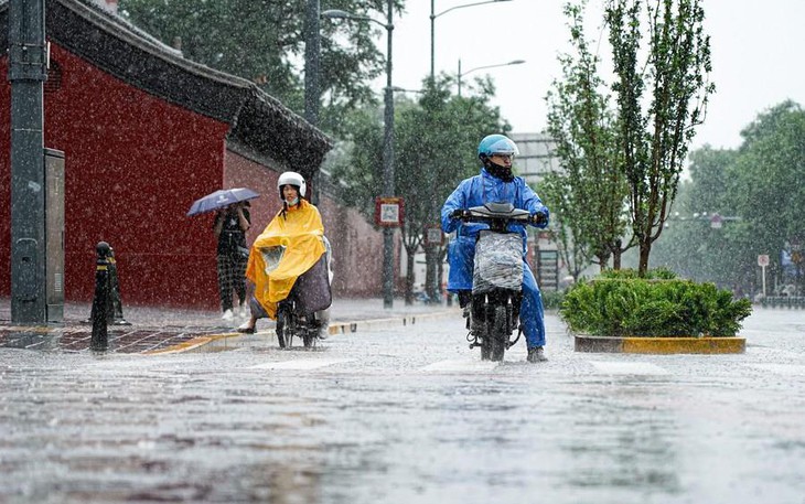 Bộ Nông nghiệp và Môi trường chỉ đạo ứng phó với không khí lạnh và mưa lớn