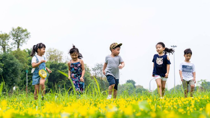 Đẩy mạnh các dịch vụ toàn diện về chăm sóc, giáo dục và bảo vệ trẻ em- Ảnh 2.