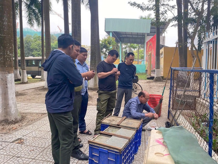Thả 18 cá thể động vật hoang dã quý hiếm về rừng- Ảnh 1.