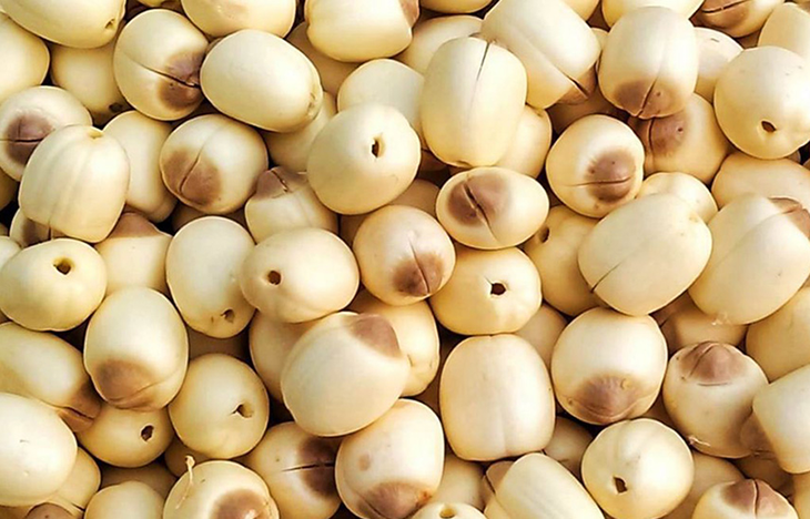 Cách nấu 7 loại cháo ngon bổ dưỡng cho người ốm- Ảnh 1.