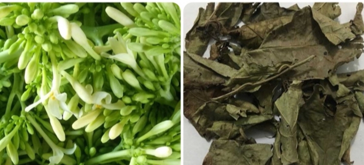 xạ đen