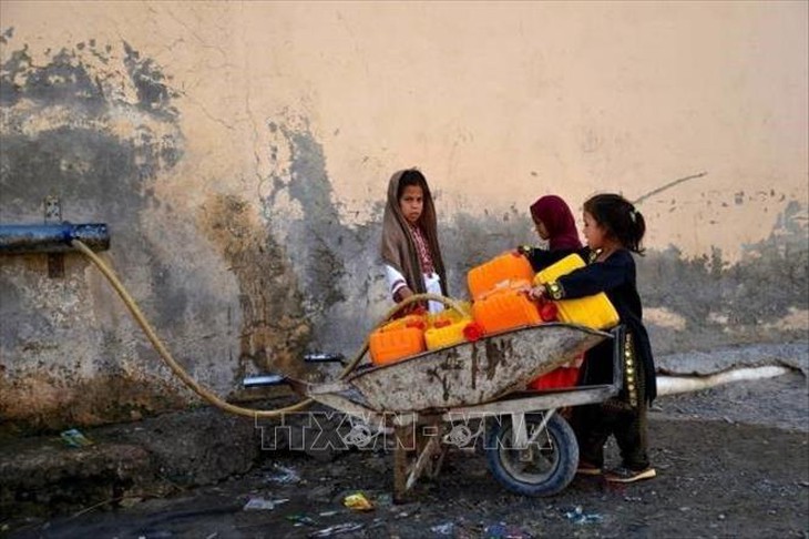 WHO: Afghanistan đối mặt cuộc khủng hoảng y tế nghiêm trọng- Ảnh 1.