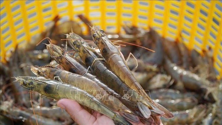 Gói tín dụng nông, lâm thủy sản có quy mô 100.000 tỷ đồng- Ảnh 1.