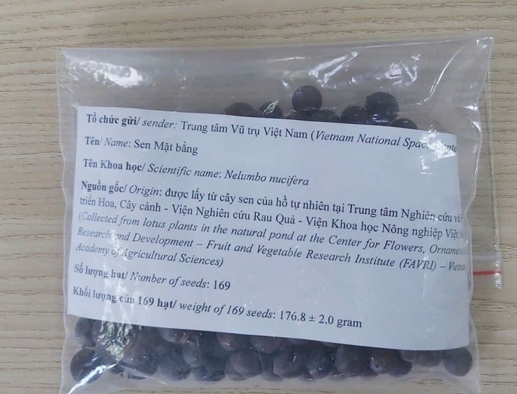 Vì sao chọn hạt sen để mang lên vũ trụ?- Ảnh 2.