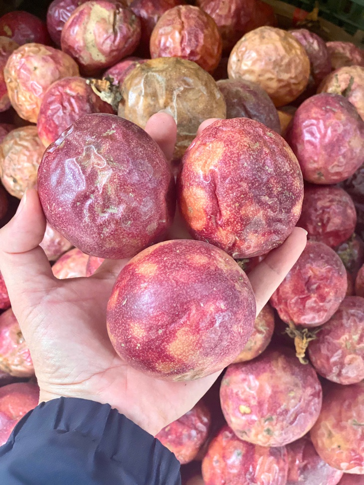 Loại quả trồng khắp Việt Nam được ví là ‘vua chất xơ’ bán đầy chợ, siêu thị giá vài chục nghìn đồng/kg- Ảnh 6. Loại quả trồng khắp Việt Nam được ví là ‘vua chất xơ’ bán đầy chợ, siêu thị giá vài chục nghìn đồng/kg- Ảnh 6.