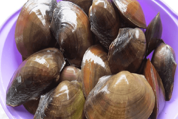 Món ăn bài thuốc dùng cho người huyết áp cao- Ảnh 1.