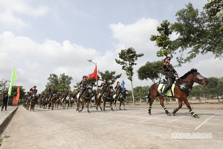 Kỵ binh rèn luyện dưới nắng, chờ ngày hội diễu binh 30/4- Ảnh 1.