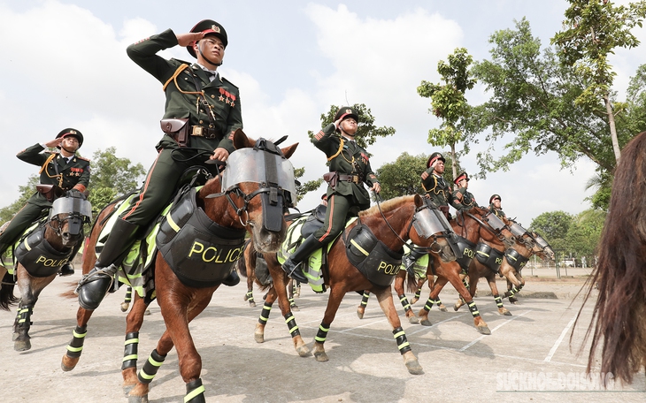 Kỵ binh rèn luyện dưới nắng, chờ ngày hội diễu binh 30/4