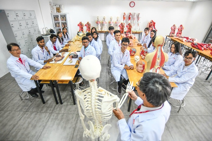 Phòng chống đột quỵ: Từ lý thuyết đến thực tế hành động- Ảnh 1.