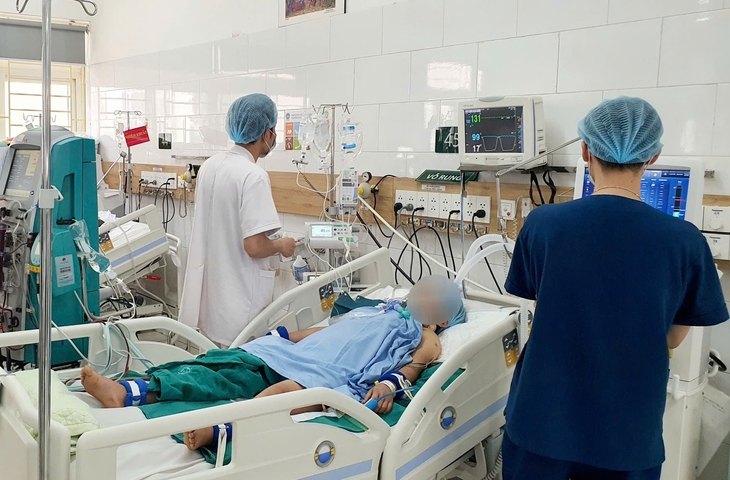 Hái nấm rừng về ăn, 2 vợ chồng hôn mê- Ảnh 1. Hái nấm rừng về ăn, 2 vợ chồng hôn mê- Ảnh 1.
