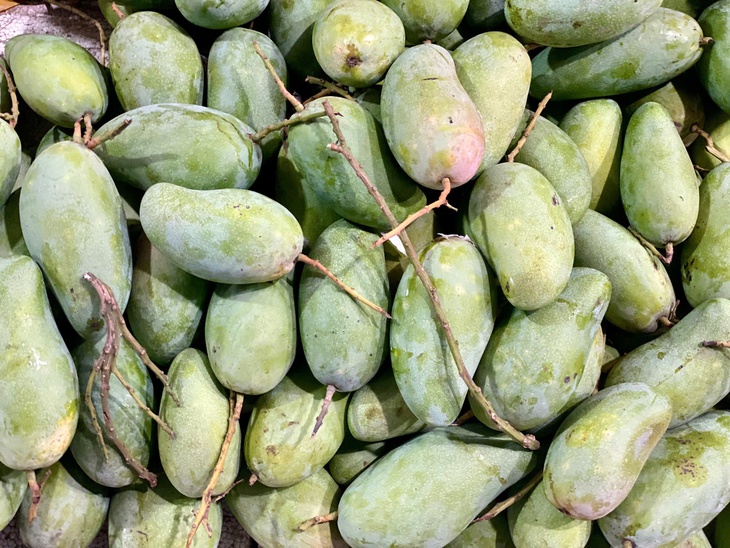 Xoài hạt lép bán đầy thị trường giá hơn chục nghìn/kg, tiểu thương tiêu thụ vài tạ mỗi ngày- Ảnh 1. Xoài hạt lép bán đầy thị trường giá hơn chục nghìn/kg, tiểu thương tiêu thụ vài tạ mỗi ngày- Ảnh 1.