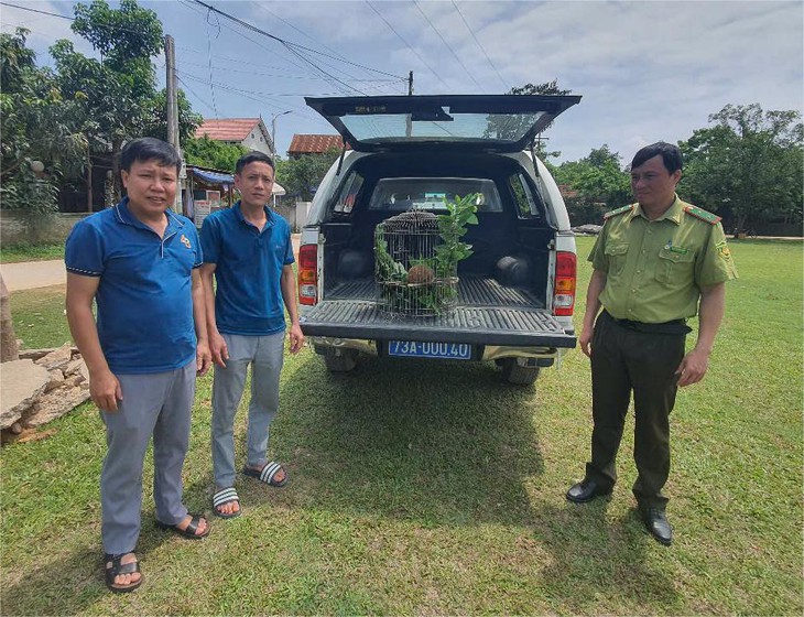 Loài linh trưởng quý hiếm được mệnh danh là 'sinh vật của bóng đêm' với vũ khí phòng vệ đặc biệt- Ảnh 3. Loài linh trưởng quý hiếm được mệnh danh là 'sinh vật của bóng đêm' với vũ khí phòng vệ đặc biệt- Ảnh 3.