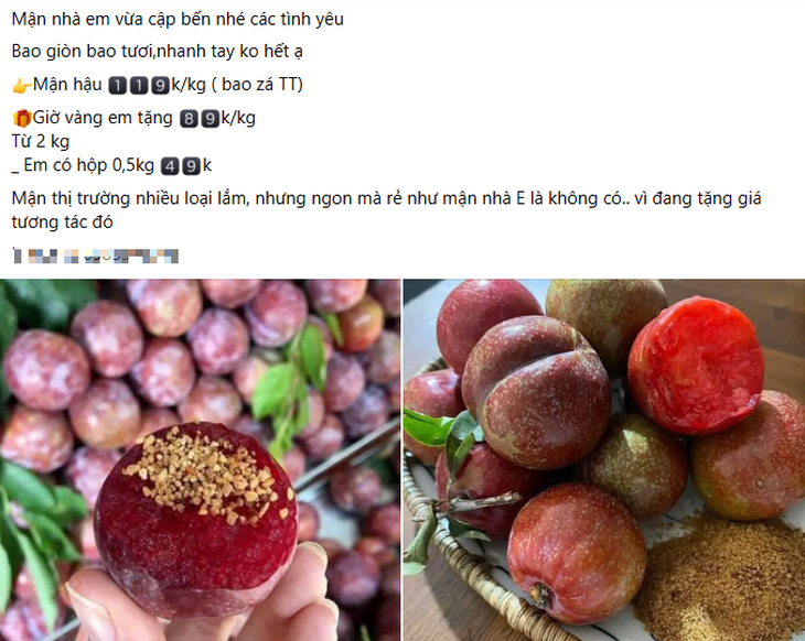Nguồn cung khan hiếm, giá mận hậu đắt nhưng vẫn 'hút' khách- Ảnh 1.