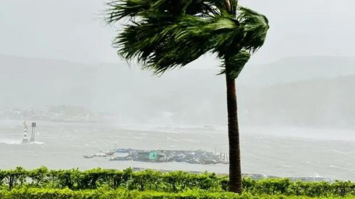 Chuyên gia cảnh báo không chia sẻ, phát tán tin giả về bão ở Quảng Ninh đầu tháng 5- Ảnh 2.