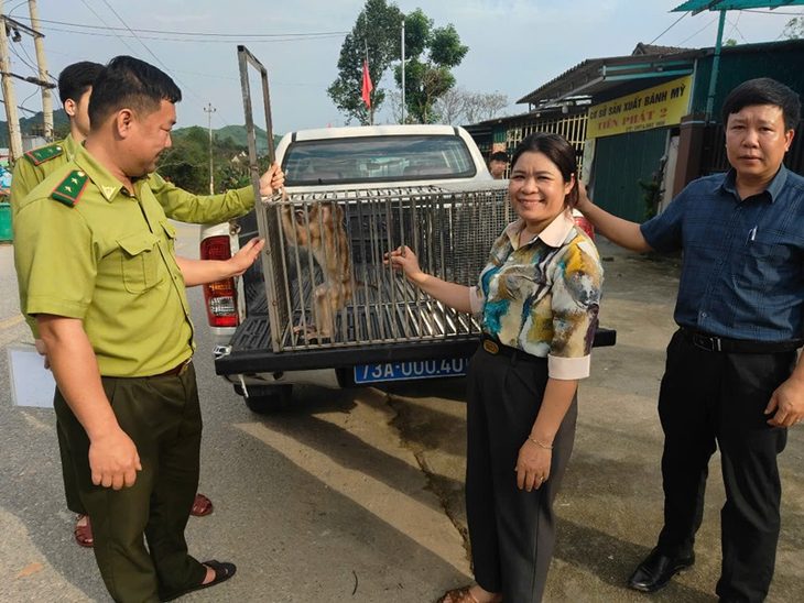 Nhiều lần cứu hộ loài động vật hoang dã cực quý hiếm có biệt tài 'đóng hộp' bản thân- Ảnh 2. Nhiều lần cứu hộ loài động vật hoang dã cực quý hiếm có biệt tài 'đóng hộp' bản thân- Ảnh 2.