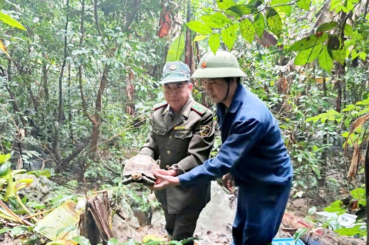 Nhiều lần cứu hộ loài động vật hoang dã cực quý hiếm có biệt tài 'đóng hộp' bản thân- Ảnh 1. Nhiều lần cứu hộ loài động vật hoang dã cực quý hiếm có biệt tài 'đóng hộp' bản thân- Ảnh 1.