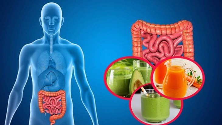 Lợi ích của chế độ ăn uống cân bằng với sức khỏe đường ruột- Ảnh 2.