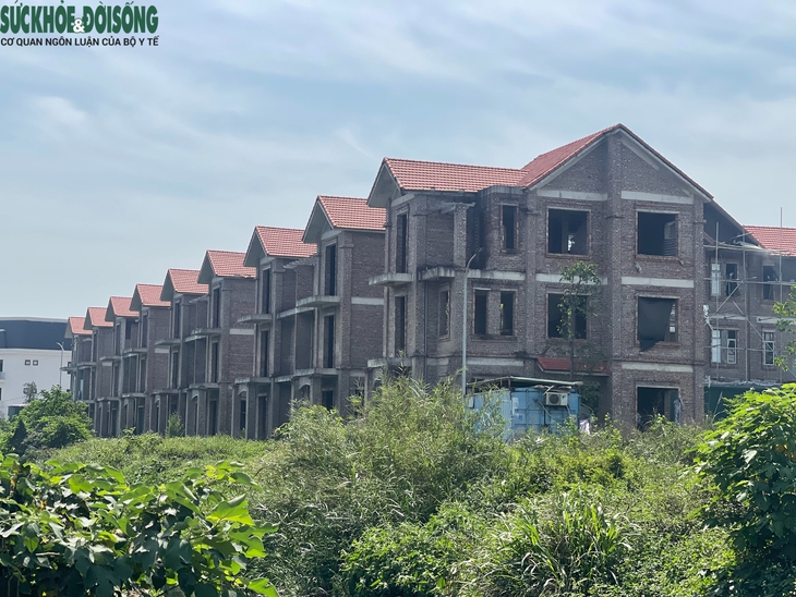 Hà Nội: Loạt biệt thự triệu đô tại KĐT Phú Lương chưa có người ở- Ảnh 1.