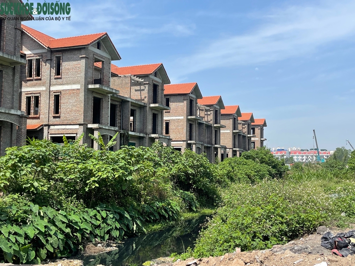 Hà Nội: Loạt biệt thự triệu đô tại KĐT Phú Lương chưa có người ở- Ảnh 2.